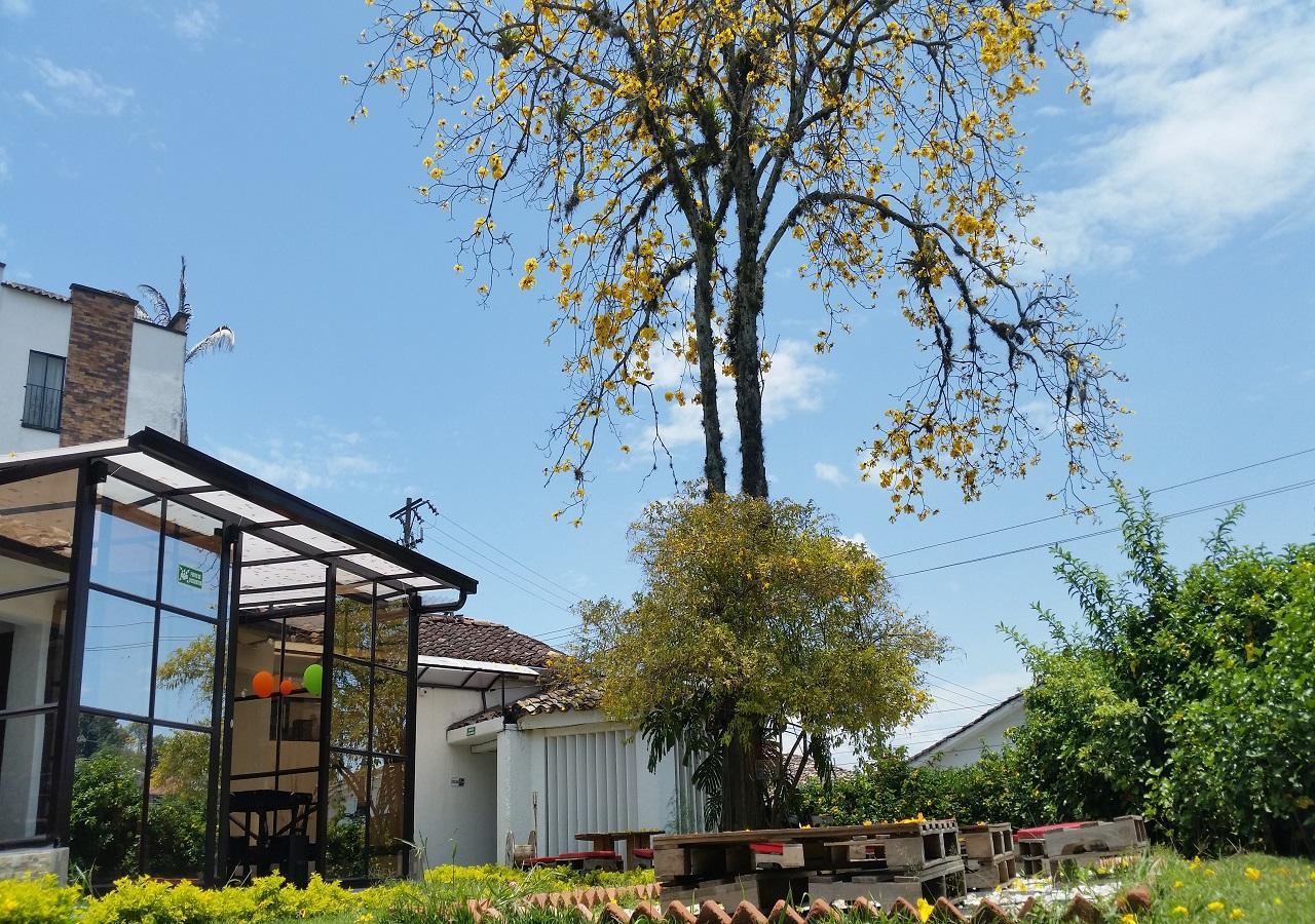 Hostal Morobik Popayan Ngoại thất bức ảnh